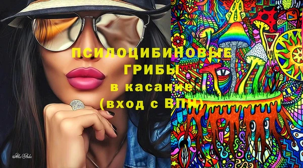 ECSTASY Ельня