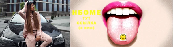 ECSTASY Ельня