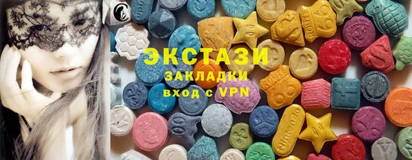 ECSTASY Ельня