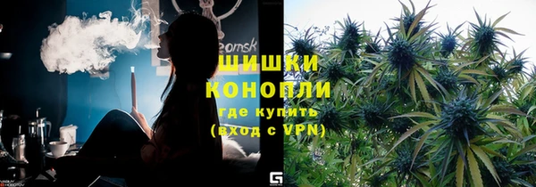 ECSTASY Ельня