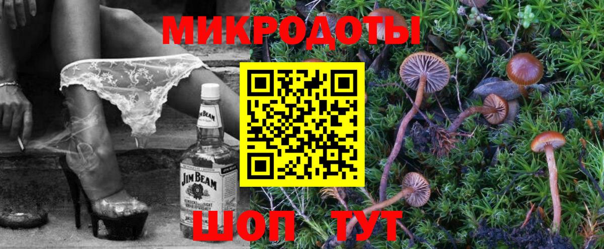 Сегежа  Псилоцибиновые грибы Psilocybine cubensis  Вход с VPN 