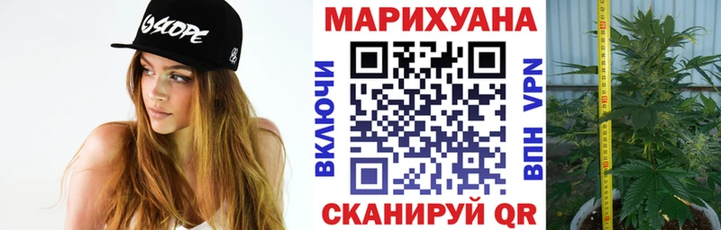 Канабис Ganja  купить наркотики цена  Сегежа 